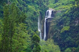Read more about the article Waterfalls in Sri Lanka – Most Visited