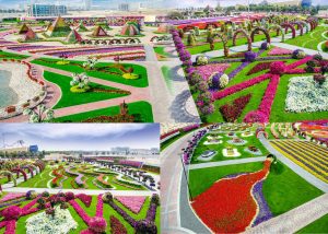 Read more about the article Know these before You Visit the Dubai Miracle Garden