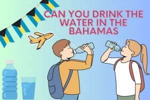 Read more about the article Exploring the Safety of Drinking Water in the Bahamas